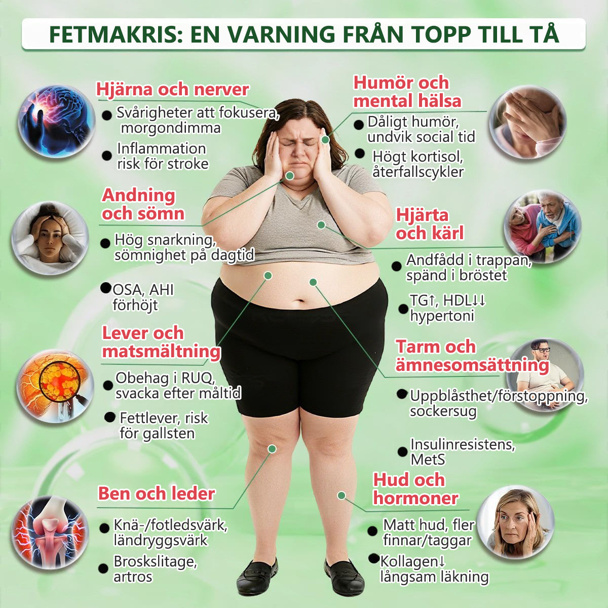 CareUplift®⏳ SISTA 10 BOXAR TILLGÄNGLIGA — FÅ 80 % RABATT NU INNAN ÅRETS SISTA ERBJUDANDE SLUTAR!